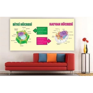 Bitki Hücresi Duvar Giydirme 05