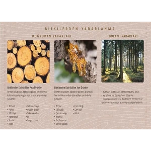 Bitkilerden Yararlanma P COG 21