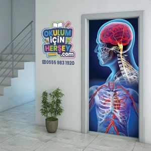 Biyoloji Kapı Giydirme 18