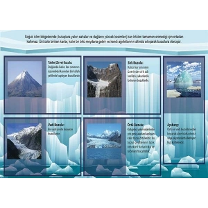 Buzul Çeşitleri P COG 41