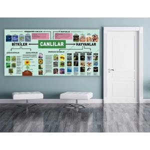 Canlılar DG BİY 19