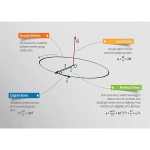 Çembersel Harekette Temel Kavramlar P FİZ 29