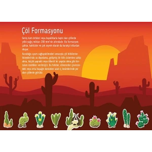 Dünyada Bitkiler (Çöl Formasyonu) P COG 24