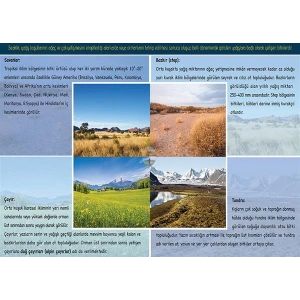 Dünyadaki Bitkiler (Ot Formasyonu) P COG 37