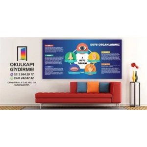 Duyu Organlarımız Duvar Giydirme 03