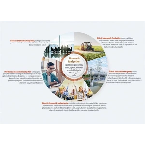 Ekonomik Faaliyetler P COG 15