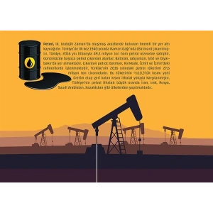 Enerji Kaynakları(Petrol) P COG 09