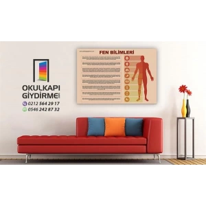 Fen Bilimleri Sokağı ES FBS 3