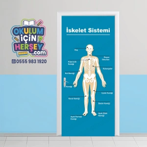 Fen Sınıfı Kapı Giydirme 12