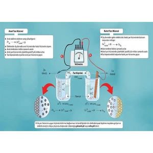 Galvanik Pil (Volta Pili) P KİM 09