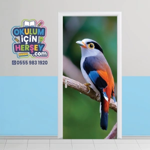 Hayvanlar Kapı Giydirme 30