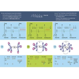Hibritleşme P KİM 08
