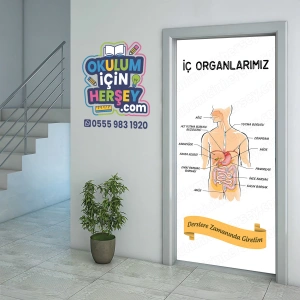 İç Organlarımız Kapı Giydirme 01