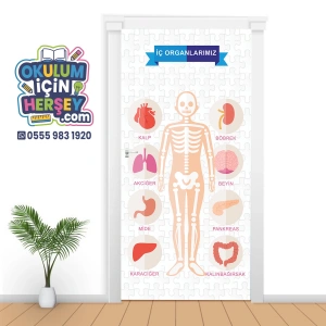 İç Organlarımız Kapı Giydirme 05