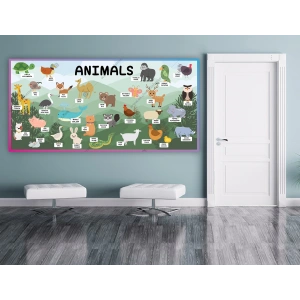 İngilizce Hayvanlar DG İN 12