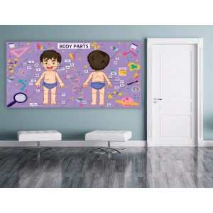 İngilizce Vücut Kısımları DG İN 16