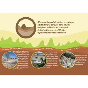 İntrazonal Topraklar P COG 18