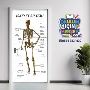 İskelet Sistemi Kapı Giydirme 04