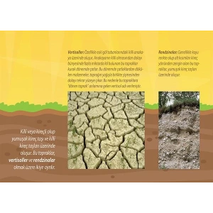 Kalsimorfik Topraklar P COG 16