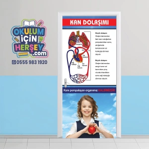 Kan Dolaşımı Kapı Giydirme 23