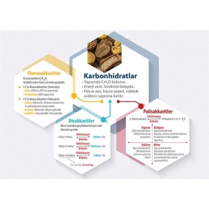Karbonhidratlar P BİY 61