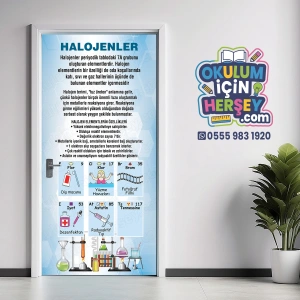 Kimya Halojenler KG KİM 11