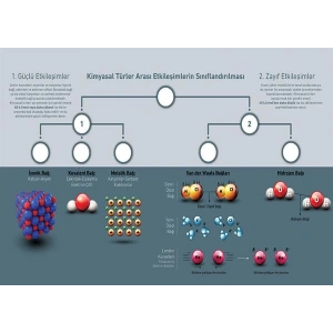 Kimyasal Türler Arası Etkileşimlerin Sınıflandırılması P KİM 15