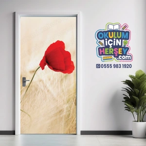 Manzara Kapı Giydirme 70