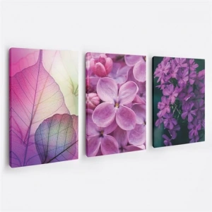 Mor Çiçek Resimli 3lü Duvar Tablo Seti