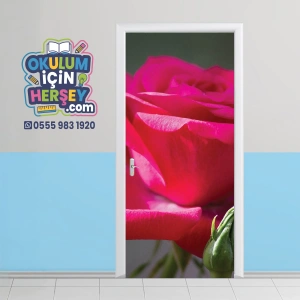 Obje Kapı Giydirme 17