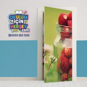 Obje Kapı Giydirme 19