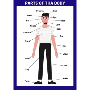 Part Of The Body Boy 02