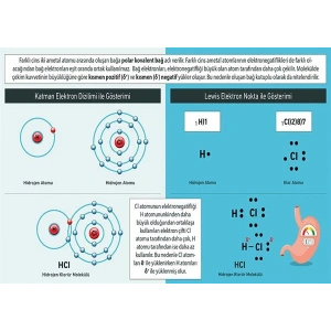 Polar Kovalent Bağ P KİM 14