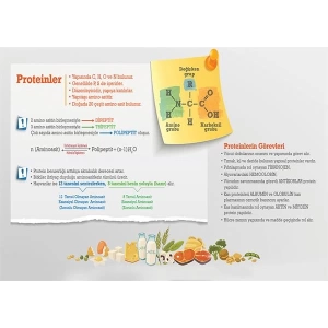 Proteinler P BİY 59