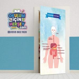 Sindirim Sistemi Kapı Giydirme 04