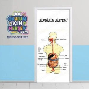 Sindirim Sistemi Kapı Giydirme 05