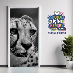 Siyah Beyaz Kapı Giydirme 11