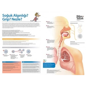 Soğuk Algınlığı P SP 02