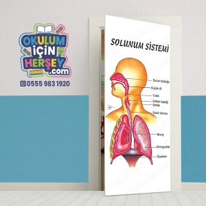 Solunum Sistemi Kapı Giydirme 07