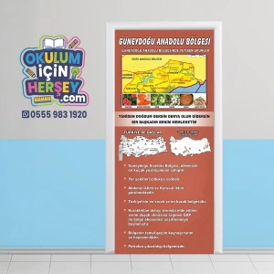 Sosyal Bilgiler Sınıfı Kapı Giydirme 13