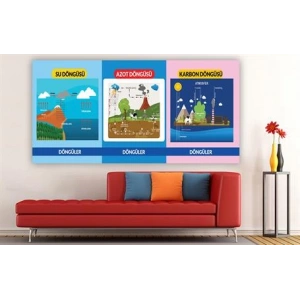 Su, Azot ve Karbon Döngüsü Duvar Giydirme 09