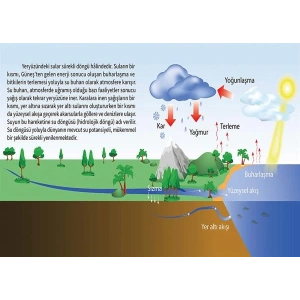 Su Döngüsü P COG 44