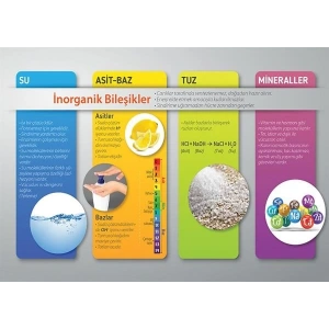 Temel İnorganik Bileşikler P BİY 42