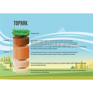 Toprağın Katmanları (Horizonları) P COG 31
