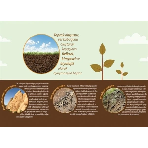 Toprak Oluşumu P COG 19