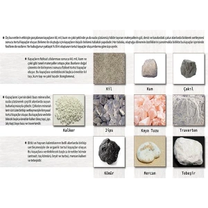 Tortul (Sedimenter) Kayaçlar P COG 52