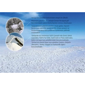 Türkiye de Madenler (Tuz) P COG 08