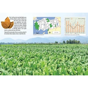 Türkiye de Tütün Üretimi P COG 13