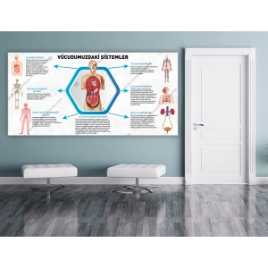 Vücüdumuzdaki Sistemler DG BİY 27