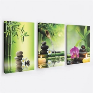 Yeşil Bambu Ağacı 3lü Duvar Tablo Seti